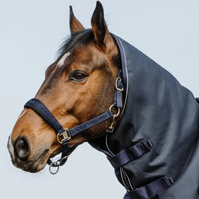 Zdjęcie produktu dla Szelka Equithème, rozmiar dla koni ciepłokrwistych - model Neck C 1200D, anatomiczna, 200 g