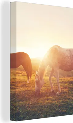 Produktbild von OneMillionCanvasses® - Leinwandbilder - 90x140 cm, Pferde - Sonne - Tiere, Wandbilder Kunstdruck Wanddekoration - Foto auf Leinwand - Gemälde auf Holzrahmen  - Wandschmucke - Schlafzimmer