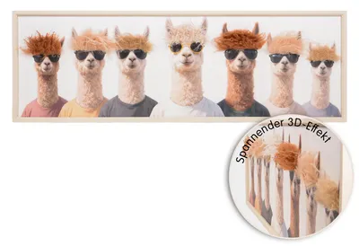 Produktbild von UNUS 3D Wanddeko Wall Art Hairfusion Alpakas im Shirt mit Sonnenbrille 120x40