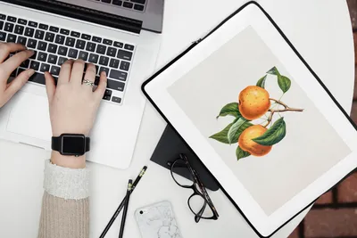 Produktbild von MuchoWow® Laptop Hülle 13 Zoll Obst - Lebensmittel - Blätter Laptoptasche - Laptophülle - Sleeve - Rundumschutz