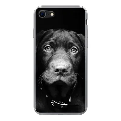 Produktbild von MuchoWow® Handyhülle Schutzhülle Hülle für iPhone SE 2020 Hund - Leicht - Schwarz Silikon Softcase Handy Hülle - Kartenbesitzer