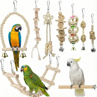 Image de Jeu de 9 pièces pour oiseaux