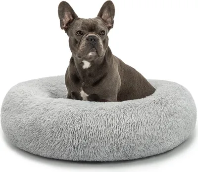 A French Bulldog sits in a round, plush dog bed.