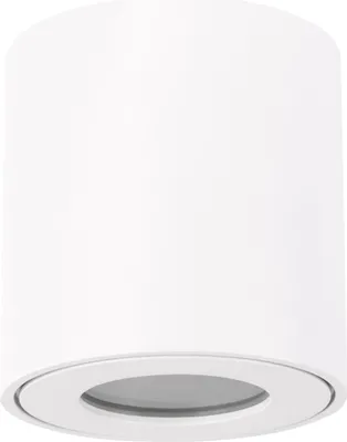 Produktbild von Strühm 03954 Deckenleuchte 'ZORBA DWL' LED, GU10, für Außenbereich, IP54, austauschbare Lichtquelle