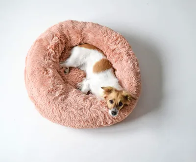 Produktbild von Sogni e capricci Hundebett Dreams, Rosa, 50x50x20 cm