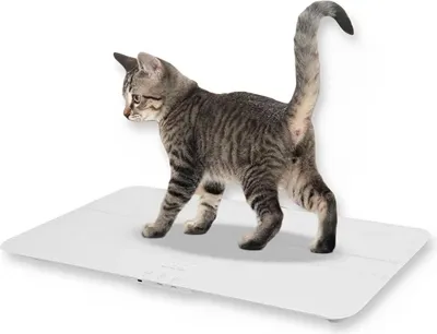 Produktbild von Digitale Haustierwaage - Hundewaage - Tragkraft 50 g–100 kg - Genauigkeit 10 g - Breite Plattform - Kunststoff - Batterie nicht enthalten - Elfenbein
