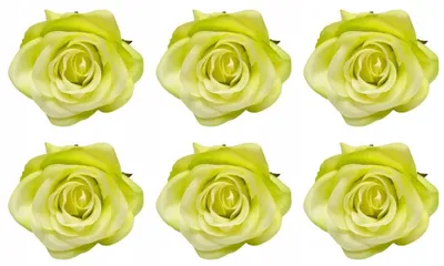 Produktbild von Domosfera Künstliche Rosenköpfe Grün 6 Stück Dekoration