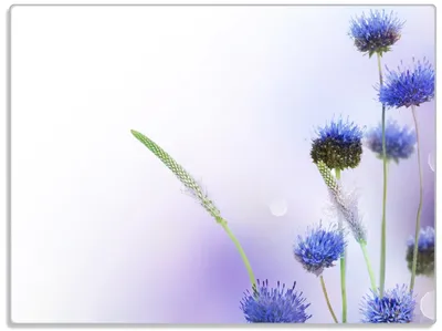 Produktbild von Wallario Glasunterlage, Schneidebrett aus Glas, Größe 30 x 40 cm, Motiv Abstrakte lila Blume