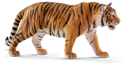 Produktbild von schleich WILD LIFE Tiger, 3 Jahr(e), Jungle, Wild animals / adventure toys, Mehrfarbig, Kunststoff, 1 Stück(e)