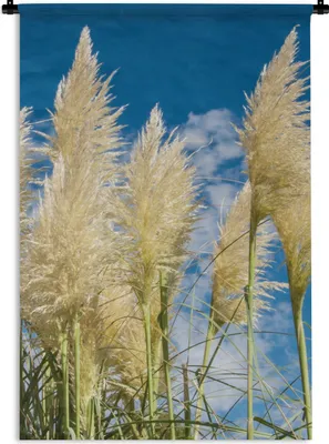 Produktbild von MuchoWow® Wandteppich Wandbehang Pampasgras - Pflanze - Natur 90x135 cm Tapisserie Dekoration Wandtuch - Baumwolle - Wandskulptur
