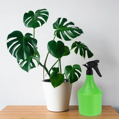 Produktbild von Relaxdays Sprühflasche 2er Set, 1l, nachfüllbar, Handsprüher für Blumen, Pflanzen, einstellbarer Sprühkopf, grün/schwarz