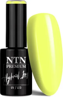 Image de NTN Premium Limited Edition Vernis hybride 5 g N° 377