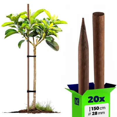 Immagine prodotto di Supporto per arrampicata in legno KADAX "Tarup", pali impregnati, palo per piante da arrampicata, 150 cm, 20 pezzi