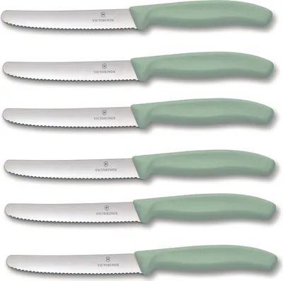 Produktbild von Victorinox | Tafelmesser Swiss Classic | 6 Stück | Hellgrün | extra scharfer Wellenschliff | Swiss Made | ideal auch als Brötchenmesser