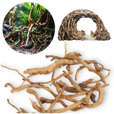 Zdjęcie produktu dla Dekoracja akwariowa – korzeń, Red Moor, 10–30 cm, pojedyncze gałęzie, 300 g