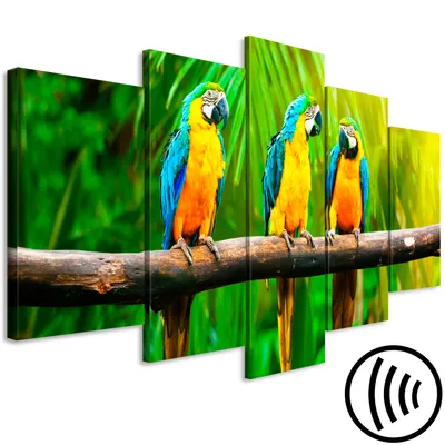 Produktbild von Akustikbild Papageien 200x100 cm Bilder Akustikschaum Hochleistungsschallabsorber Schallschutz Leinwand 5 tlg Wandbild Raumakustik Schalldämmung Vogel tropische Blätter g-B-0219-b-m