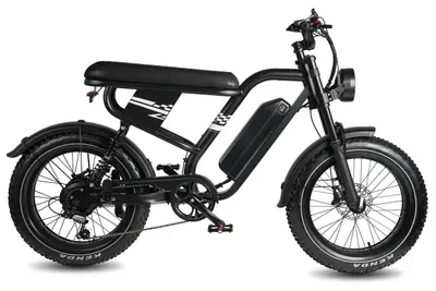 Produktbild von E-Bike - Fatbike - 48-V-Lithiumakku - 200–250 W - Shimano 7-Gang - Doppelfederung - Schwarz