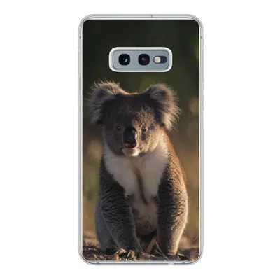 Produktbild von MuchoWow® Handyhülle Schutzhülle Hülle für Samsung Galaxy S10e Koala - Sonne - Tier - Kinder - Jungen - Mädchen Silikon Softcase Handy Hülle - Handy