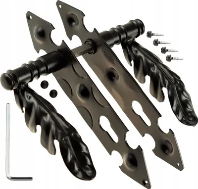 Produktbild von Türgriff Türbeschlag Haustürgriff FEINZ Liest - 90 mm - Schwarz - Hochwertige Schmiedekunst - Elegantes Design