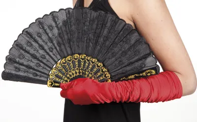 Immagine prodotto di ventilatore Granada nero 25 cm