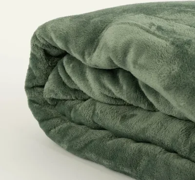 Produktbild von Große Kuscheldecke aus Microfaser einfarbig jade grün 180x220cm
