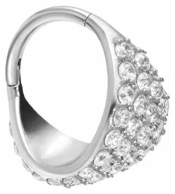 Produktbild von Ohrpiercing, Nasenpiercing, Septum Piercing Chirurgenstahl Segmentring Clicker EINGEFASSTES KRISTALLSCHILD