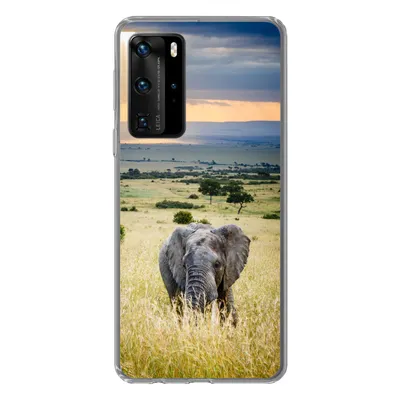 Produktbild von MuchoWow® Handyhülle Schutzhülle Hülle für Huawei P40 Pro Elefant - Tiere - Landschaft - Sonne - Natur Silikon Softcase Handy Hülle - Schutz