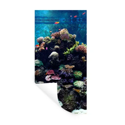 Produktbild von MuchoWow® Wandtattoo Wandsticker Wandaufkleber Aquarium mit tropischen Fischen und Korallen 40x80 cm Selbstklebend und Repositionierbar - Repositionierbar - Wasser abweisend