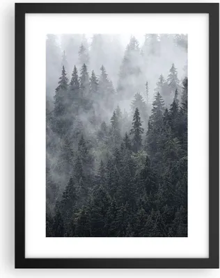 Produktbild von Gerahmtes Poster - Schwarzer Rahmen - Wald Baum Natur - 30x40 cm - Wand Bild - Wanddeko - Wandbilder - Kunstposter - Wandposter - Bilderrahmen - Bilder - Kunstdruck - Wandbild - P2BPA30x40-4074