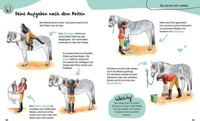 Image de Mein erstes Pferdebuch. Mit Pferderassen von A-Z