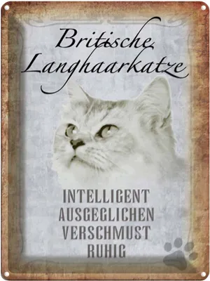 Produktbild von vianmo Blechschild 40x30 cm britische Langhaarkatze Katze