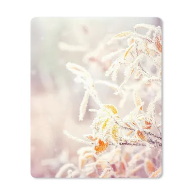 Produktbild von MuchoWow® Mauspad Mousepad Winter - Äste - Schnee - Natur 30x40 cm - Mousepads - Maus Mat - Pad - Mausunterlage - Mausmatten