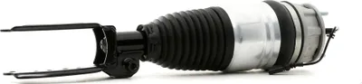 Produktbild von RIDEX 4118A0028 Luftfederbein Stoßdämpfer Vorne Links für VW Touareg (7P5, 7P6) für PORSCHE Cayenne (92A)