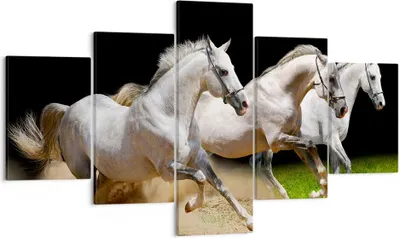 Produktbild von Bild auf Leinwand - Leinwandbild - Pferde Sand Gras - 125x70cm - Wand Bild - Wanddeko - Wandbilder - Leinwanddruck - Bilder - Kunstdruck - Wanddekoration - Leinwand bilder - Wandkunst - EA125x70-0175