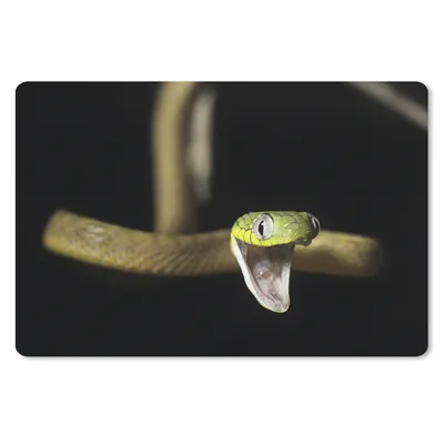Produktbild von MuchoWow® Mauspad Mousepad Schlange - Tier - Schwarz 40x30 cm - Mousepads - Maus Mat - Pad - Mausunterlage - Anti Rutsch