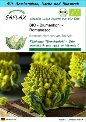 Produktbild von SAFLAX - Geschenk Set - BIO - Blumenkohl - Romanesco - 50 Samen - Mit Geschenk- / Versandbox, Versandaufkleber, Geschenkkarte und Anzuchtsubstrat - Brassica oleracea