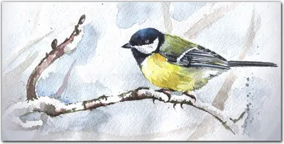 Produktbild von Coloray Bild aus Acryl 120 cm x 60 cm - Wohnzimmer Acrylblock mit Bild Wanddekoration Gehärtetes Acryl Dekoration Küche - Winter Zweig Tier