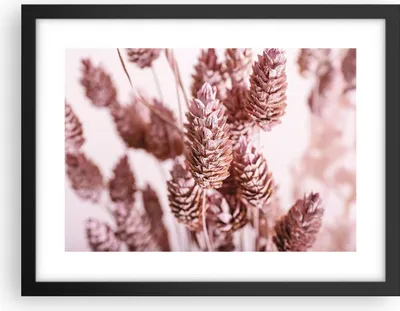 Produktbild von Gerahmtes Poster - Schwarzer Rahmen - Getrocknet Blume Eco - 40x30 cm - Wand Bild - Wanddeko - Wandbilder - Kunstposter - Wandposter - Bilderrahmen - Bilder - Kunstdruck - P2BAA40x30-4912