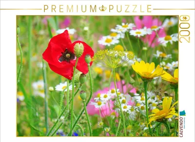Produktbild von CALVENDO Puzzle Bunte Blumenwiese 2000 Teile Puzzle quer | 2000 Teile Lege-Größe 90x67cm Foto-Puzzle für glückliche Stunden