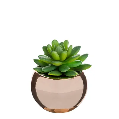 Produktbild von Grünpflanze keramiktopf h.15  - Atmosphera créateur d'intérieur