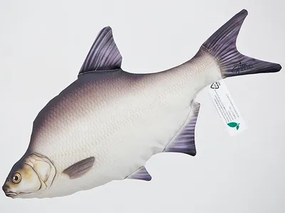 Produktbild von Gaby Kuscheltier Fisch Kissen Stofftier Plüschtier Plüschfisch Geschenkidee Brachse 35cm
