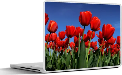 Produktbild von MuchoWow® Laptop Aufkleber Sticker Cover Die Sonne scheint über die roten Tulpen 30x21 cm - Sticker für Laptop - Selbstklebend