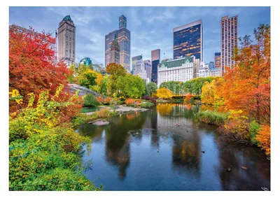 Productafbeelding van DINO Puzzel, Central Park, 500 stukjes