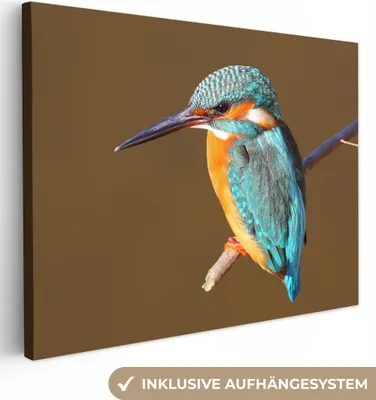 Produktbild von MuchoWow® - Leinwandbilder - Eisvogel - Äste - Bunt, Wandbild, Wanddeko Bilder Wohnzimmer, 80x60 cm