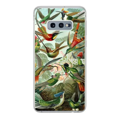 Produktbild von MuchoWow® Handyhülle Schutzhülle Hülle für Samsung Galaxy S10e Trochilidae - Alte Meister - Kunst Silikon Softcase Handy Hülle - Handy