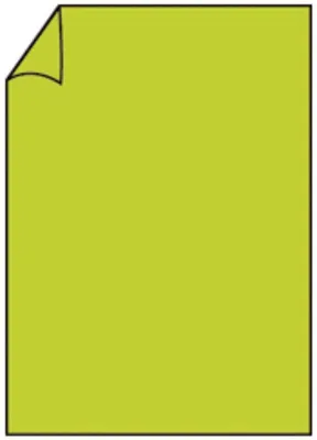 Image de Rössler Papier 220726522 Coloretti Papier à lettres - A4, 165g, 10 feuilles, vert clair
