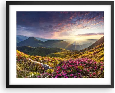 Produktbild von Gerahmtes Poster - Schwarzer Rahmen - Gebirge Wiese Landschaft Wald - 50x40 cm - Wand Bild - Wanddeko - Wandbilder - Wandposter - Bilderrahmen - Bilder - Kunstdruck - Wandbild - P2BAA50x40-3152