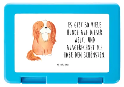 Produktbild von Mr. & Mrs. Panda Bentobox Hund Cavalier King Charles Spaniel - Weiß - Geschenk, Lunchbox, Cockerspaniel, Bento Box, Bester, Brotzeitbox, Sprüche, Butterbrotdose