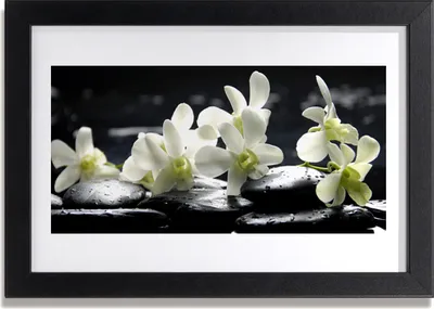 Produktbild von Bild 30x20 MDF-Rahmen Wandkunst Stein Blume Pflanze