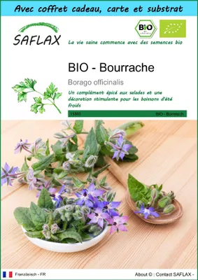 Image de SAFLAX Ensemble-cadeau -- Bourrache - 40 graines - Borago